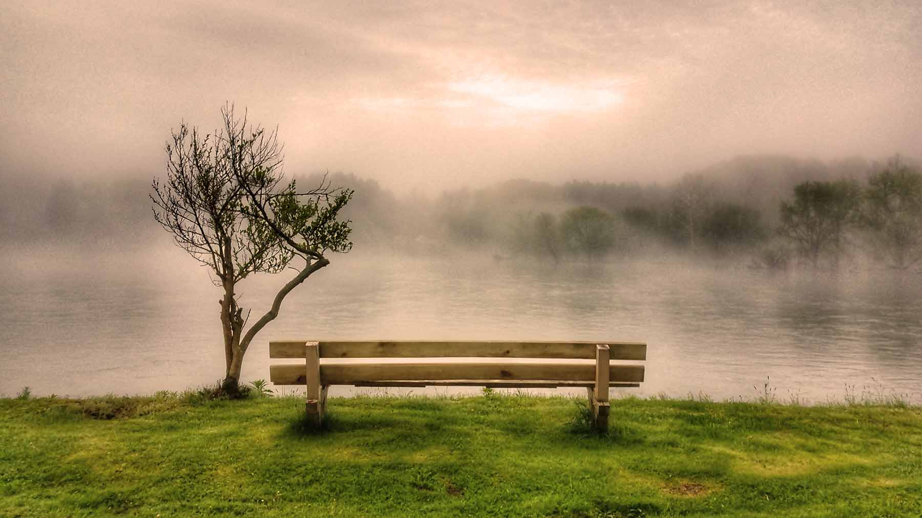 allegheny-river-bench
